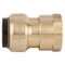 Apollo 3/4 in. Brass Push-to-Connect x Female Pipe Thread Adapter FSBFA34 - alternate 2